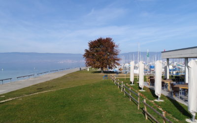 DCIM100MEDIADJI_0208.JPG